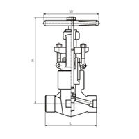 شیر گلوب P.S کلاس 900-1500 (PN16.0-25.0MPa)