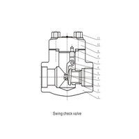 شیر  چک ولو swing check valve کلاس 800