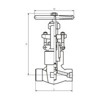 شیر گلوب P.S کلاس 2500 (PN42.0MPa)