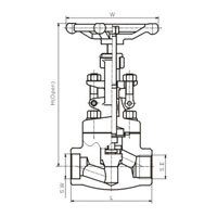 شیر گلوب S.W (NPT) کلاس 900-1500 (PN16.0-25.0MPa)