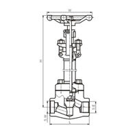 شیر گلوب S.W Cryogenis (NPT) کلاس 150-800 (PN1.6-14.0MPa)