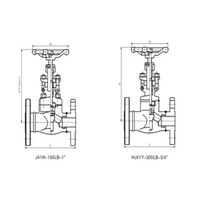 شیر سوزنی فلنج دار کلاس 300 (flange globe valve)