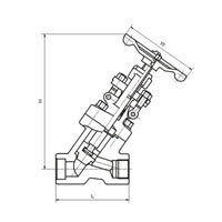 شیر گلوب نوع وای S.W (NPT) کلاس 800-1500 (PN14.0-25.0MPa)
