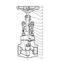 شیر گلوب ولو globe valve کلاس 800