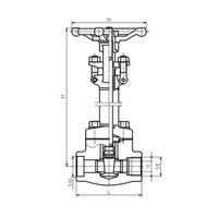 شیر کشویی S.W Cryogenic (NPT) کلاس 150-800 (PN1.6-14.0MPa)