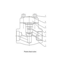 شیر یکطرفه piston check valve کلاس 800