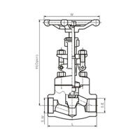 شیر گلوب S.W (NPT) کلاس 150-800 (PN1.6-14.0MPa)