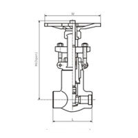 شیر کشویی P.S کلاس 900-1500 (PN16.0-25.0MPa)