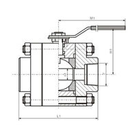 شیر توپی NPT کلاس 150-800